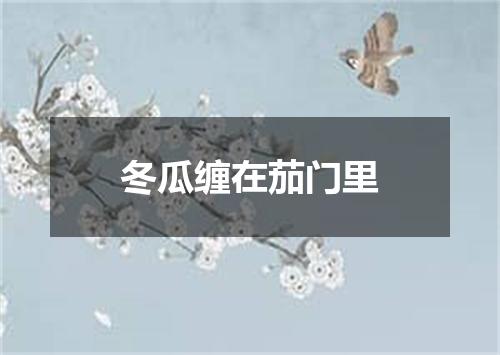 冬瓜缠在茄门里