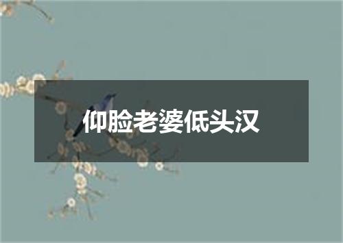 仰脸老婆低头汉