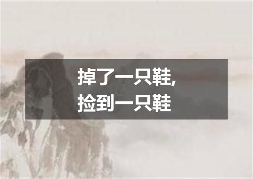 掉了一只鞋,捡到一只鞋
