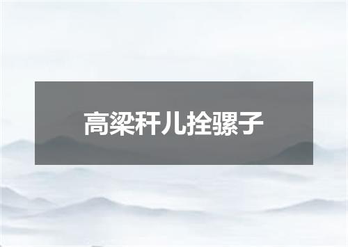 高梁秆儿拴骡子