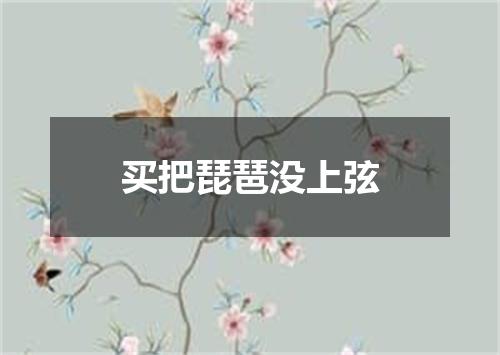 买把琵琶没上弦
