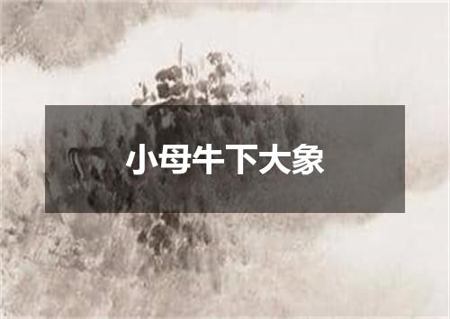 小母牛下大象