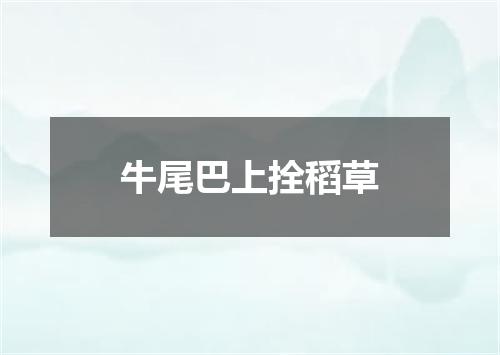 牛尾巴上拴稻草