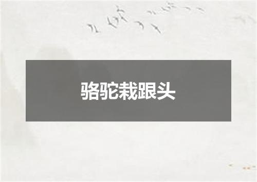 骆驼栽跟头