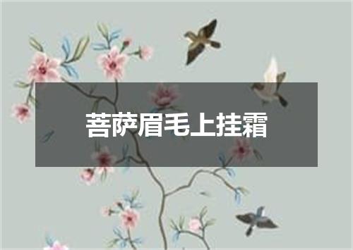 菩萨眉毛上挂霜