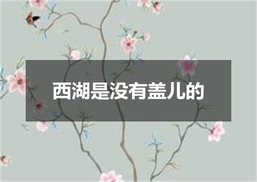 西湖是没有盖儿的