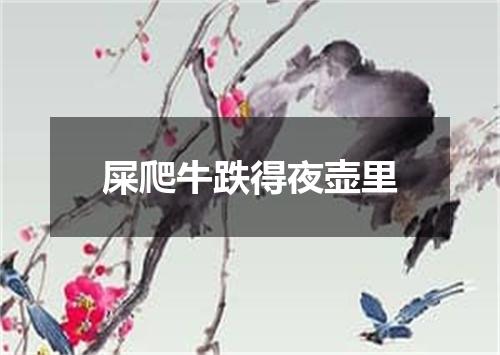 屎爬牛跌得夜壶里