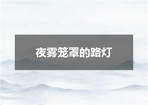 夜雾笼罩的路灯