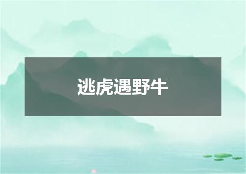 逃虎遇野牛