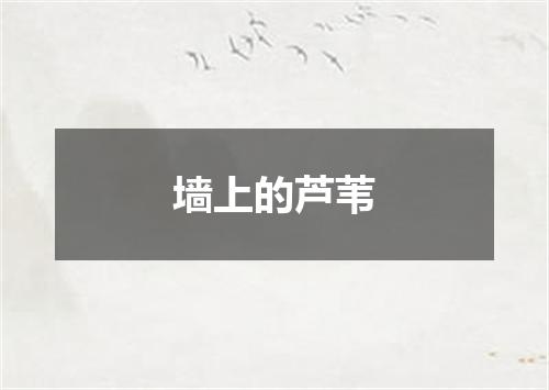 墙上的芦苇