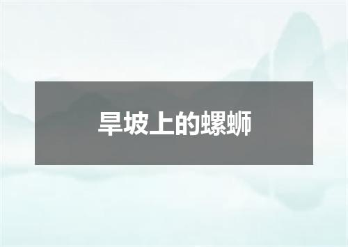 旱坡上的螺蛳