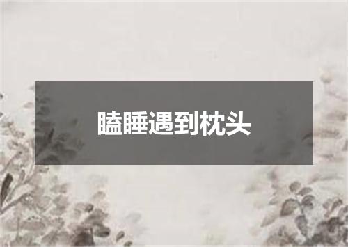 瞌睡遇到枕头