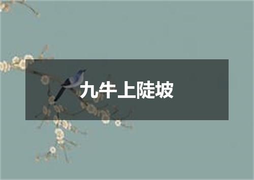九牛上陡坡