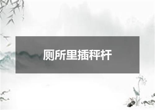 厕所里插秤杆