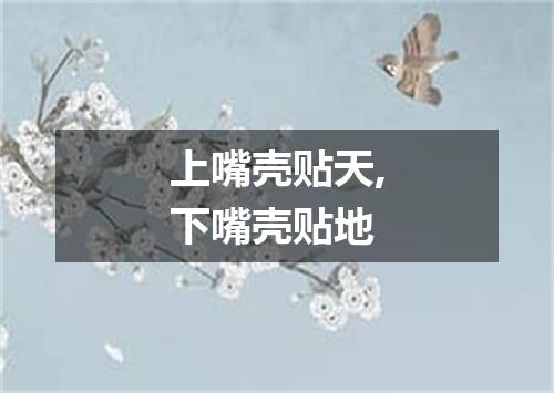 上嘴壳贴天,下嘴壳贴地