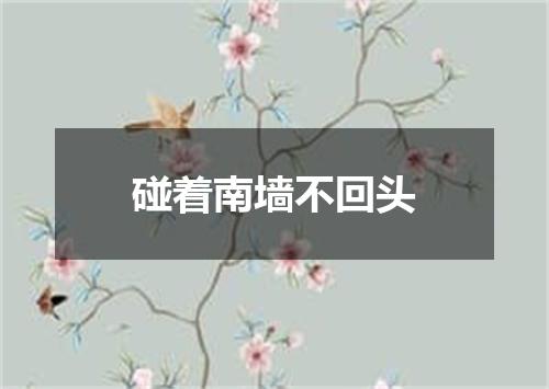 碰着南墙不回头