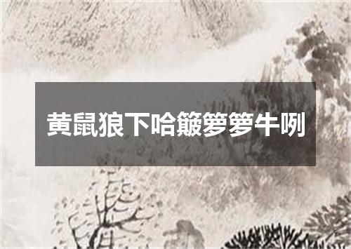 黄鼠狼下哈簸箩箩牛咧