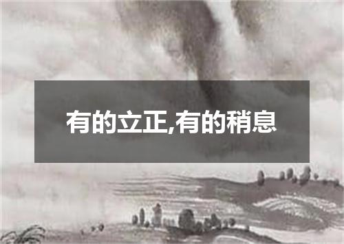 有的立正,有的稍息