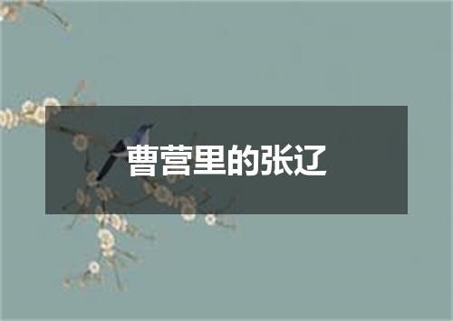 曹营里的张辽