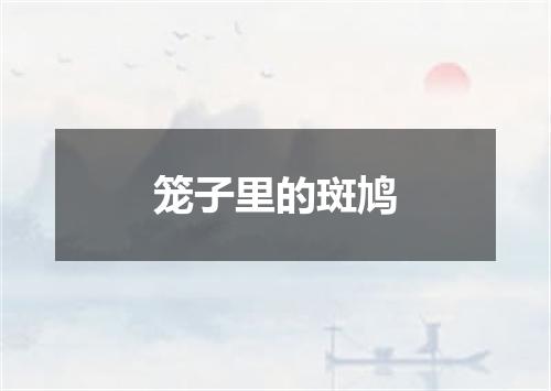 笼子里的斑鸠