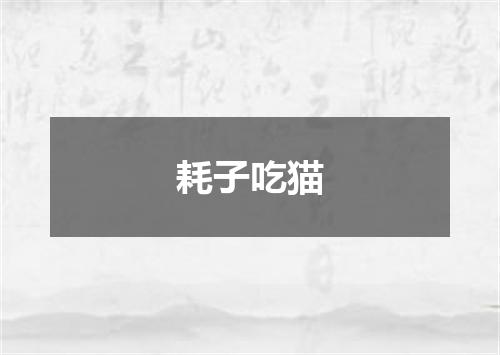 耗子吃猫