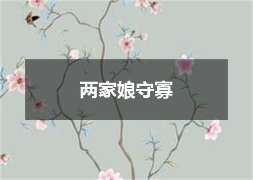 两家娘守寡