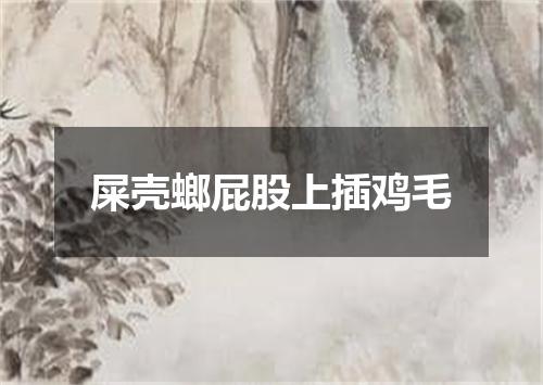 屎壳螂屁股上插鸡毛