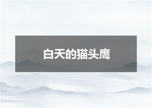白天的猫头鹰