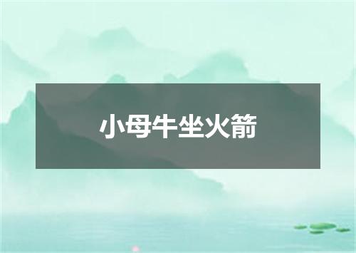 小母牛坐火箭