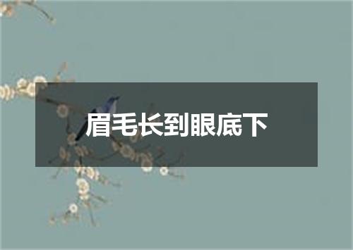 眉毛长到眼底下