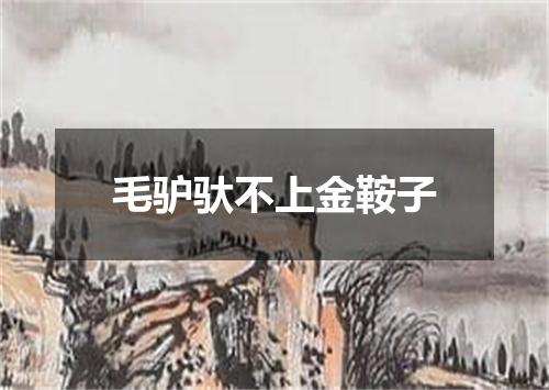 毛驴驮不上金鞍子