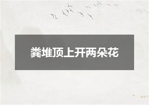 粪堆顶上开两朵花
