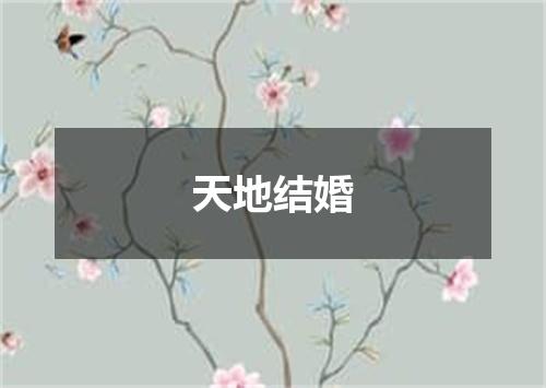天地结婚