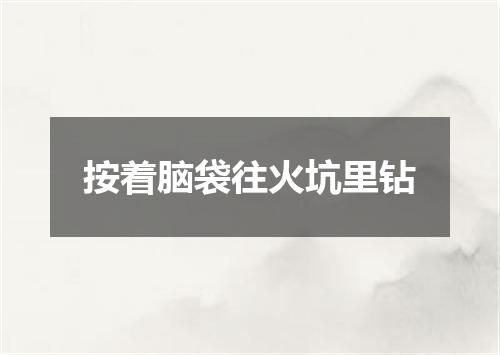 按着脑袋往火坑里钻