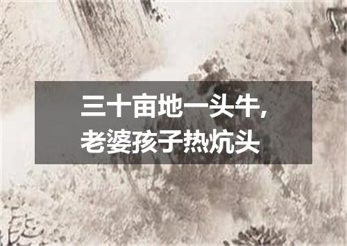 三十亩地一头牛,老婆孩子热炕头