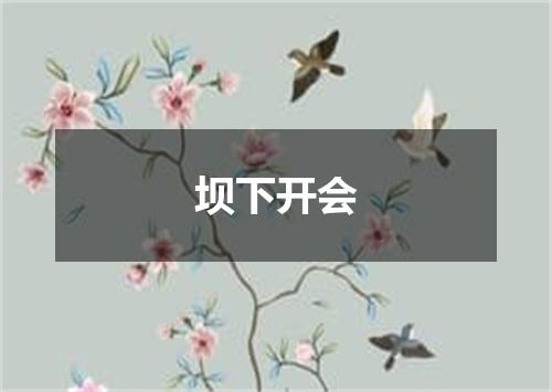 坝下开会