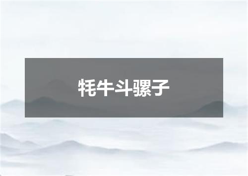 牦牛斗骡子