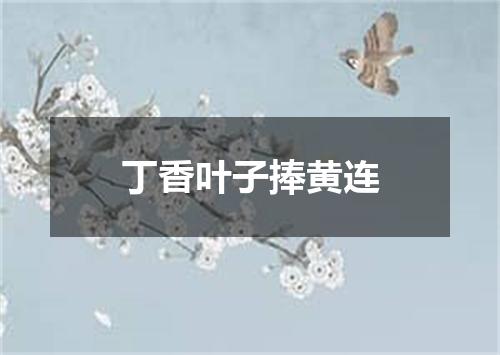 丁香叶子捧黄连