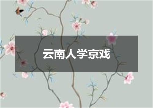 云南人学京戏