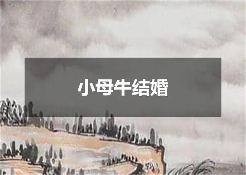 小母牛结婚