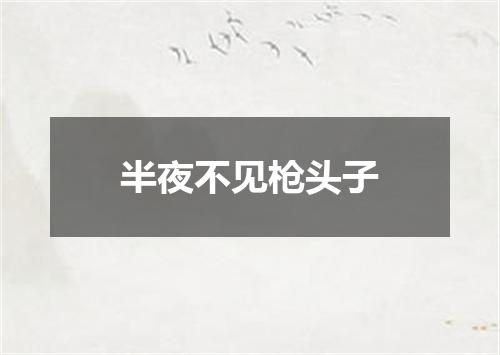 半夜不见枪头子