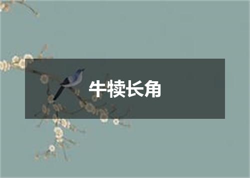 牛犊长角