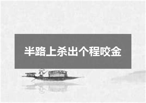 半路上杀出个程咬金