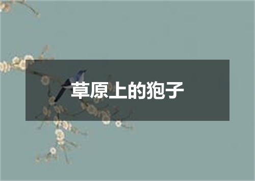 草原上的狍子