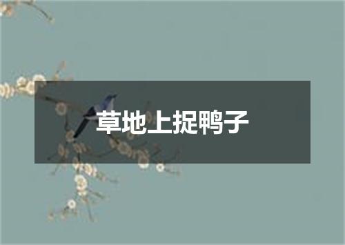 草地上捉鸭子