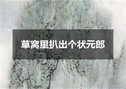 草窝里扒出个状元郎