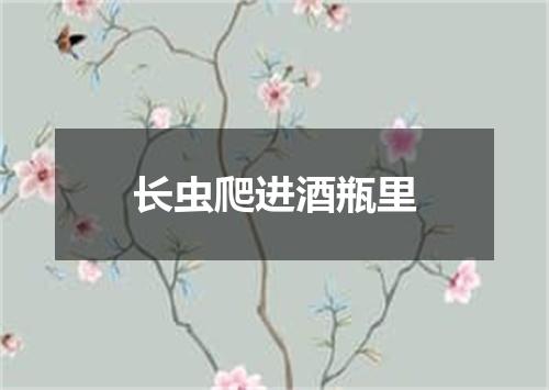 长虫爬进酒瓶里