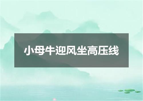 小母牛迎风坐高压线