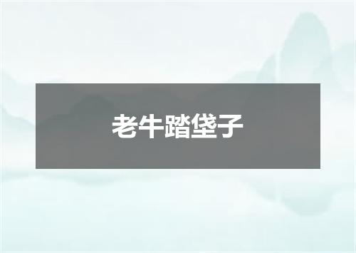 老牛踏垡子