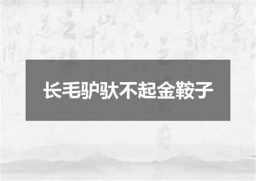 长毛驴驮不起金鞍子